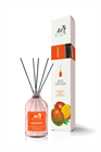 Air Time Reed Diffuser fapálcikás légfrissítő 50 ml Mango