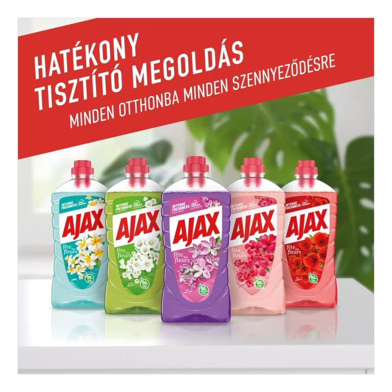 AJAX Floral Fiesta háztartási tisztítószer Lilac Breeze 1 l Kép
