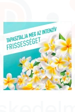 AJAX Floral Fiesta háztartási tisztítószer Lagoon Flowers 1 l Kép