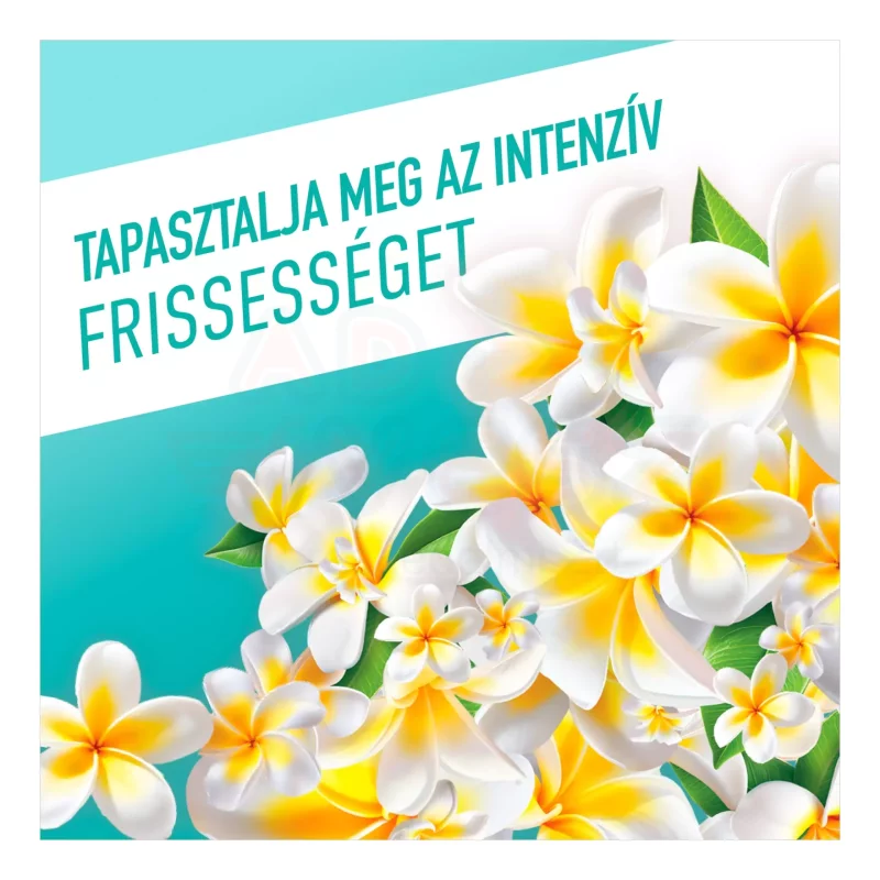 AJAX Floral Fiesta háztartási tisztítószer Lagoon Flowers 1 l Kép
