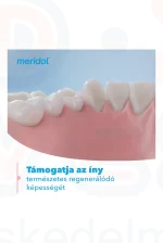 MERIDOL fogkrém Parodont expert 75 ml Kép