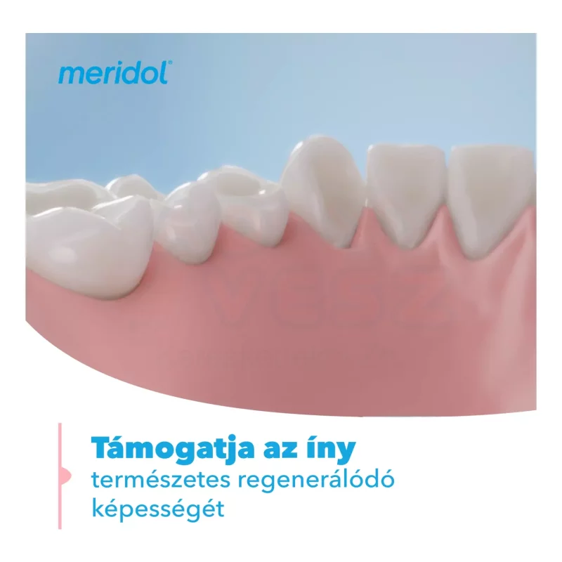 MERIDOL fogkrém Parodont expert 75 ml Kép