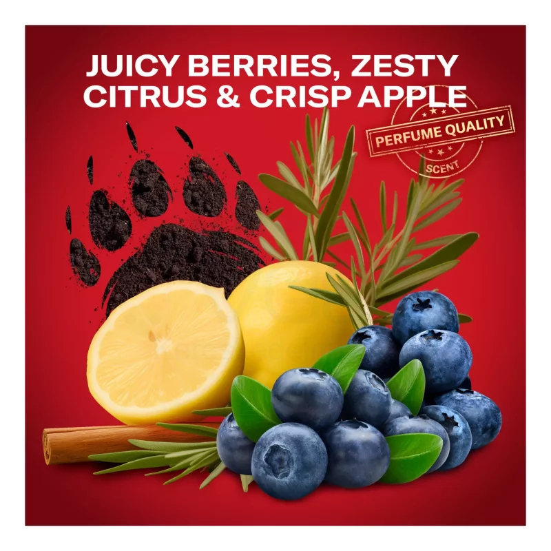 Old Spice deo spray 150 ml BearGlove Kép