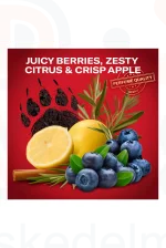 Old Spice deo spray 150 ml BearGlove Kép