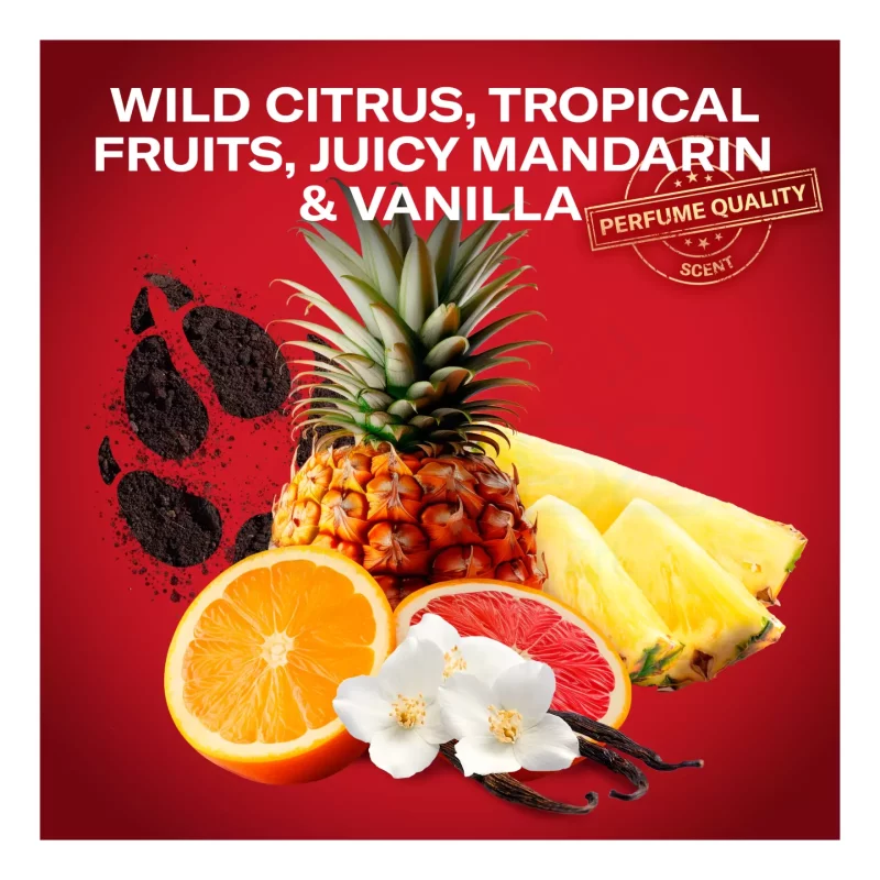 Old Spice tusfürdő és sampon 250 ml BearGlove Kép