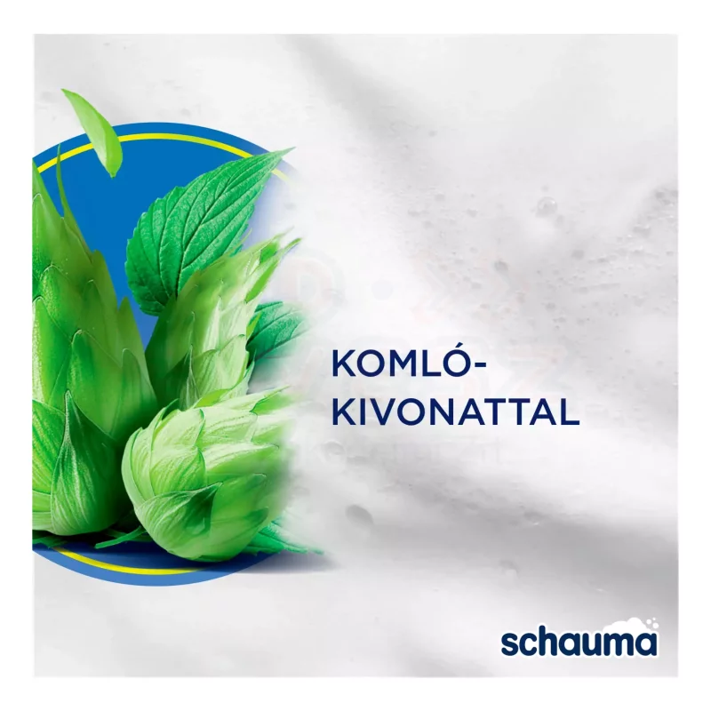 Schauma sampon 400 ml For Men (komlóval, minden hajtípusra) Kép