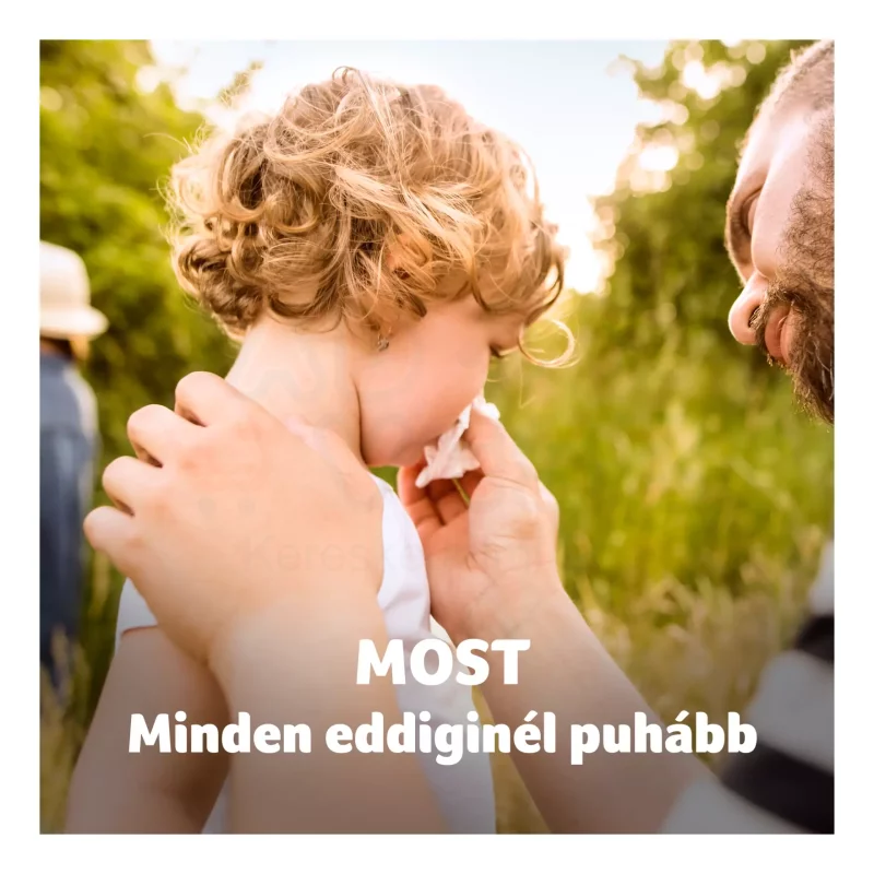 Zewa Softis papírzsebkendő 4 rétegű 10x9 db Classic Illatmentes Kép