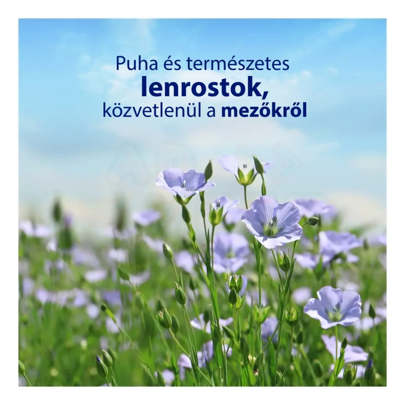 Zewa nedves toalettpapír 42 db Almond Milk Kép