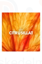 Gillette Series After Shave Splash Energizing Citrus Fizz arcvíz 100 ml Kép