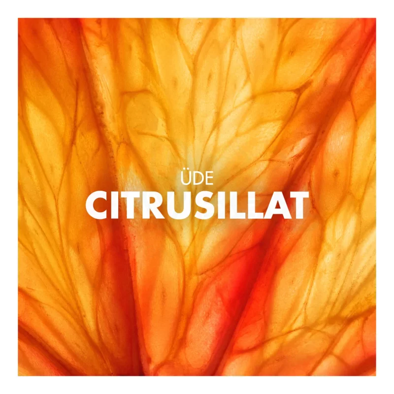 Gillette Series After Shave Splash Energizing Citrus Fizz arcvíz 100 ml Kép