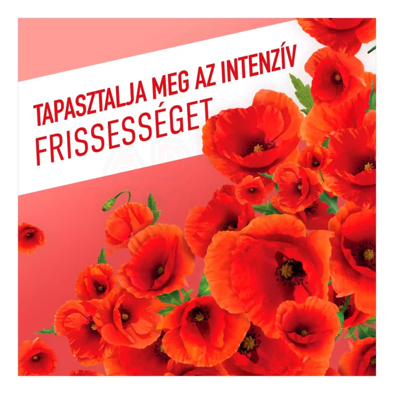 AJAX Floral Fiesta háztartási tisztítószer Red Flowers 1 l Kép