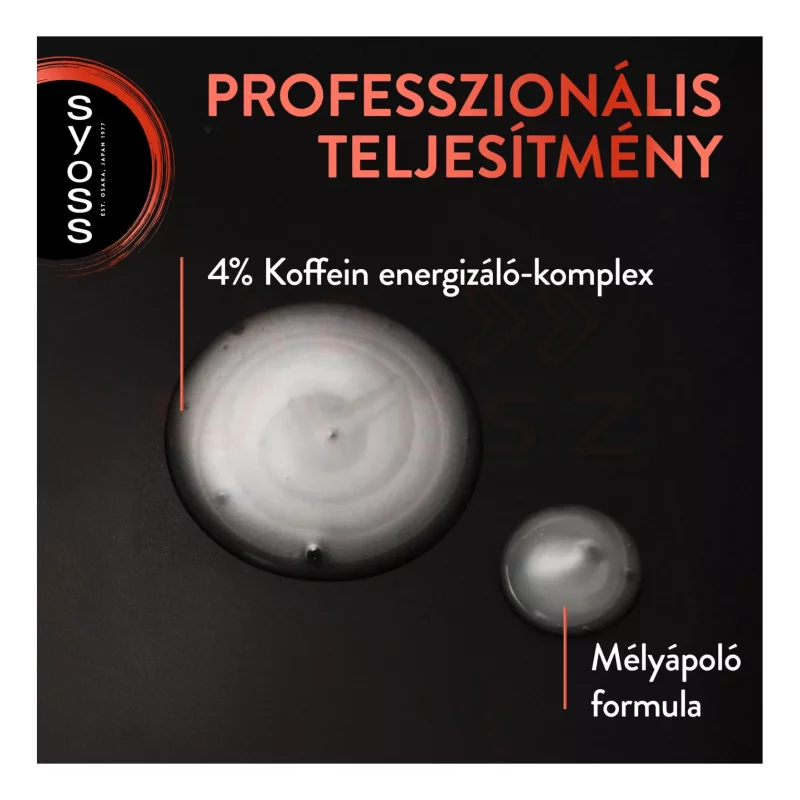 Syoss sampon 440 ml Men Power Kép