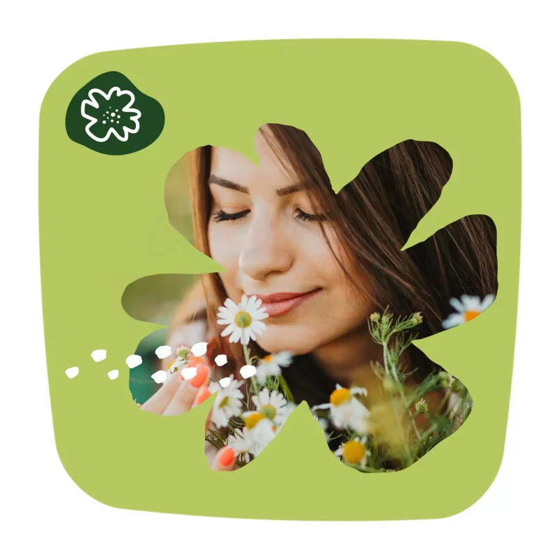 Naturella tisztasági betét Camomile 52 db Kép