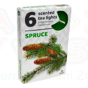 Illatos teamécses 6 db Fenyő