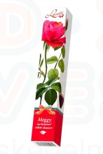 LAROTTI meggy ízű krémmel töltött desszert 65 g Rózsa Kép