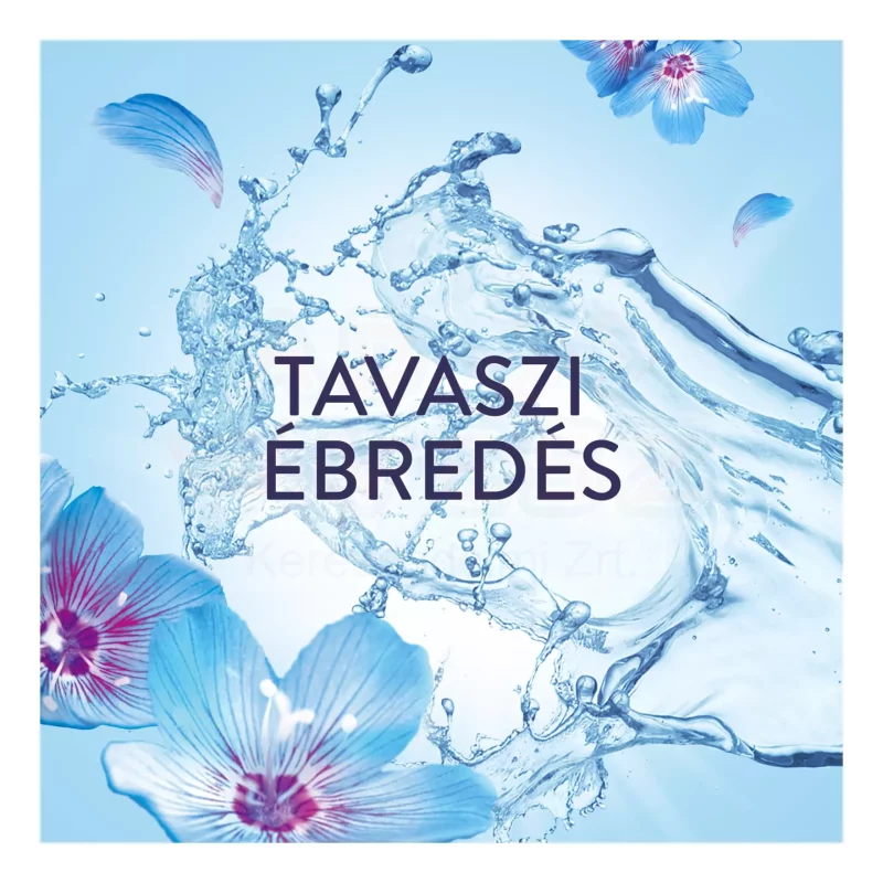 Lenor öblítő 798 ml Spring Awakening Kép