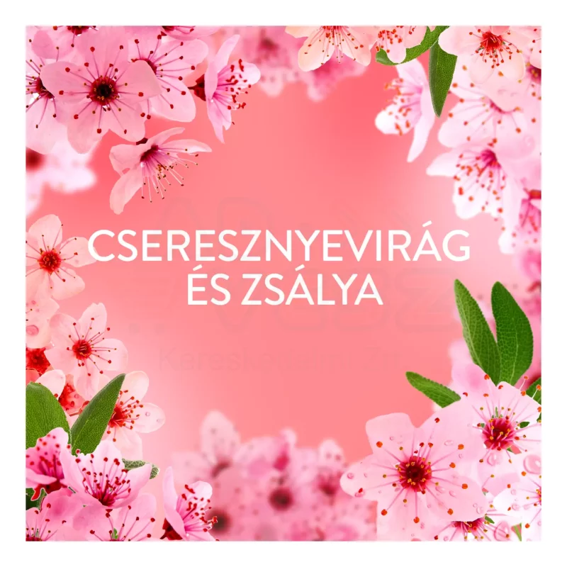 Lenor öblítő 675 ml Cherry Blossom Kép