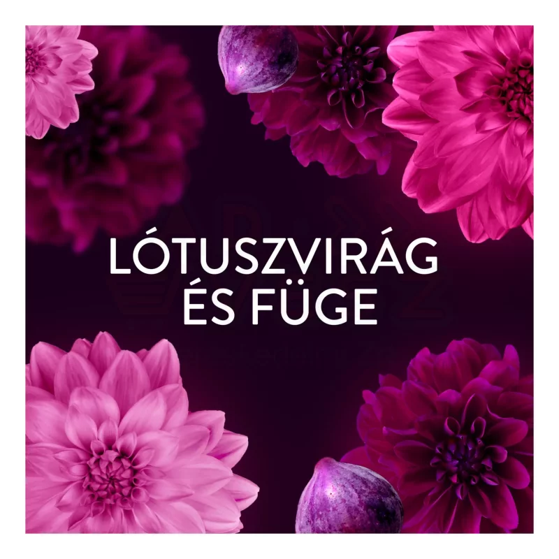Lenor öblítő 2x987 ml Lotus Flower&Diamond Figs DUO Kép